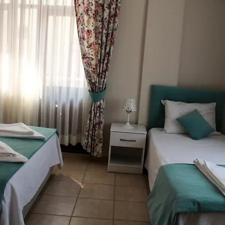 Terrace Hotel 3*